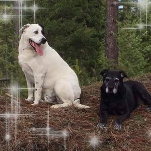 Meet your Posher, Mandy